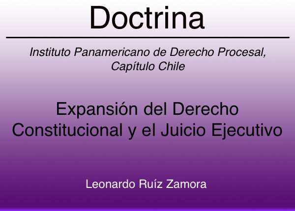 Expansión del Derecho Constitucional y el juicio ejecutivo - Leonardo Ruiz Zamora